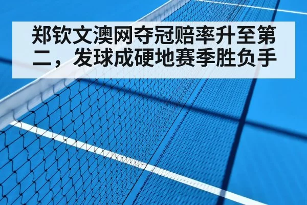 tennis hard court