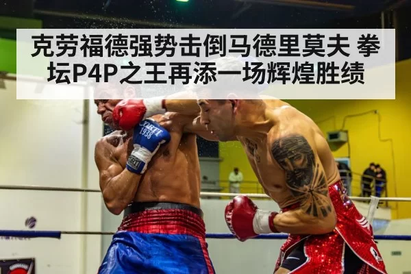 boxer knockout punch