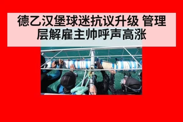 德乙汉堡球迷抗议升级 管理层解雇主帅呼声高涨