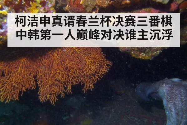 柯洁申真谞春兰杯决赛三番棋中韩第一人巅峰对决谁主沉浮